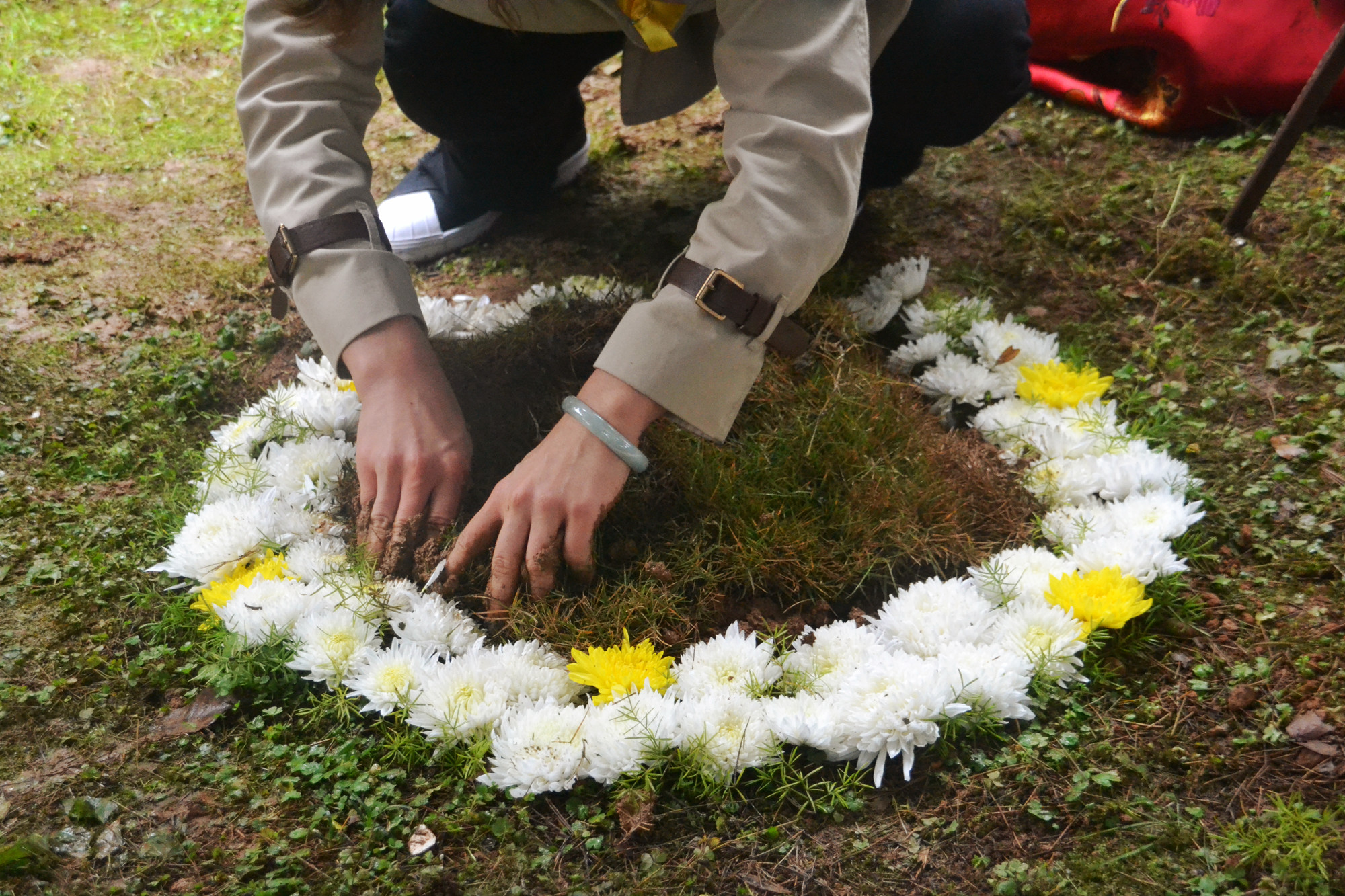 DSC_0869_副本.jpg DSC_0869_副本.jpg