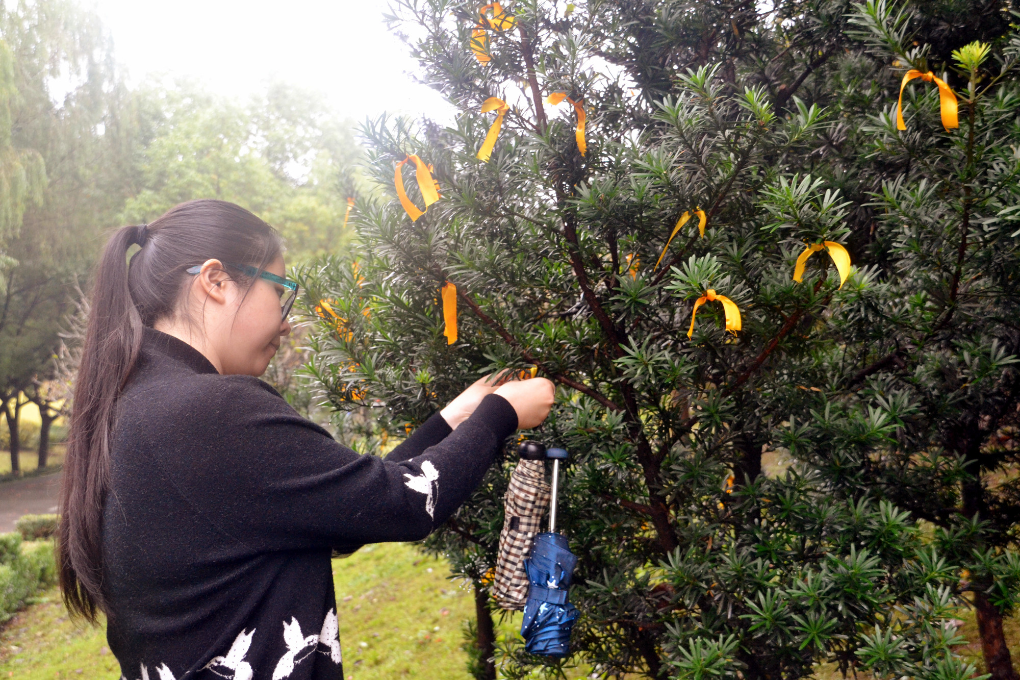 DSC_0886_副本.jpg DSC_0886_副本.jpg