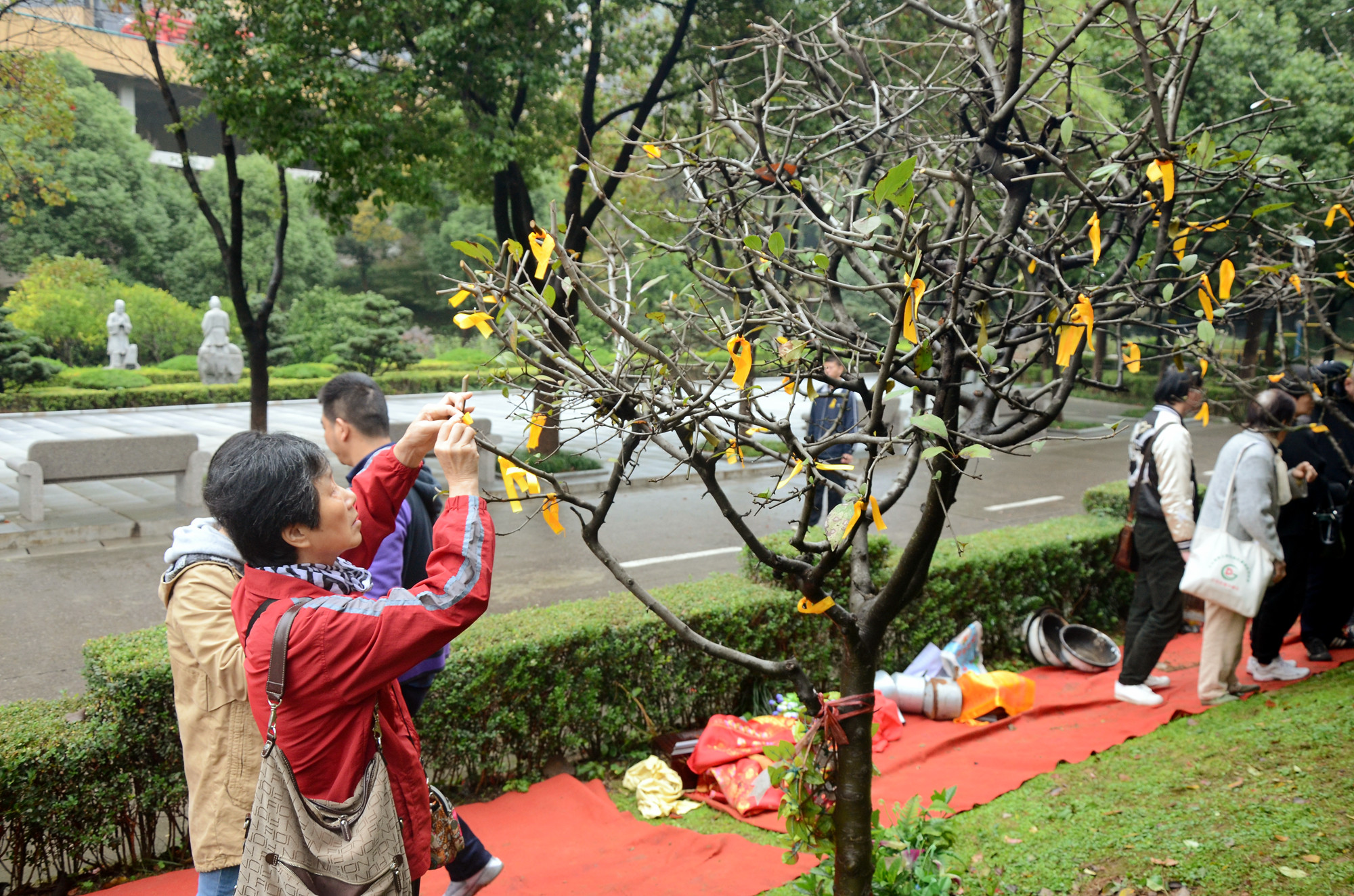 DSC_0896_副本.jpg DSC_0896_副本.jpg