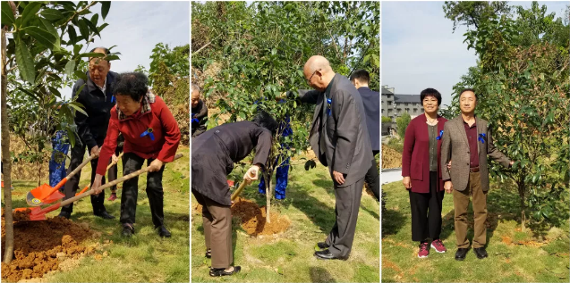 QQ图片20181115144822.png QQ图片20181115144822.png