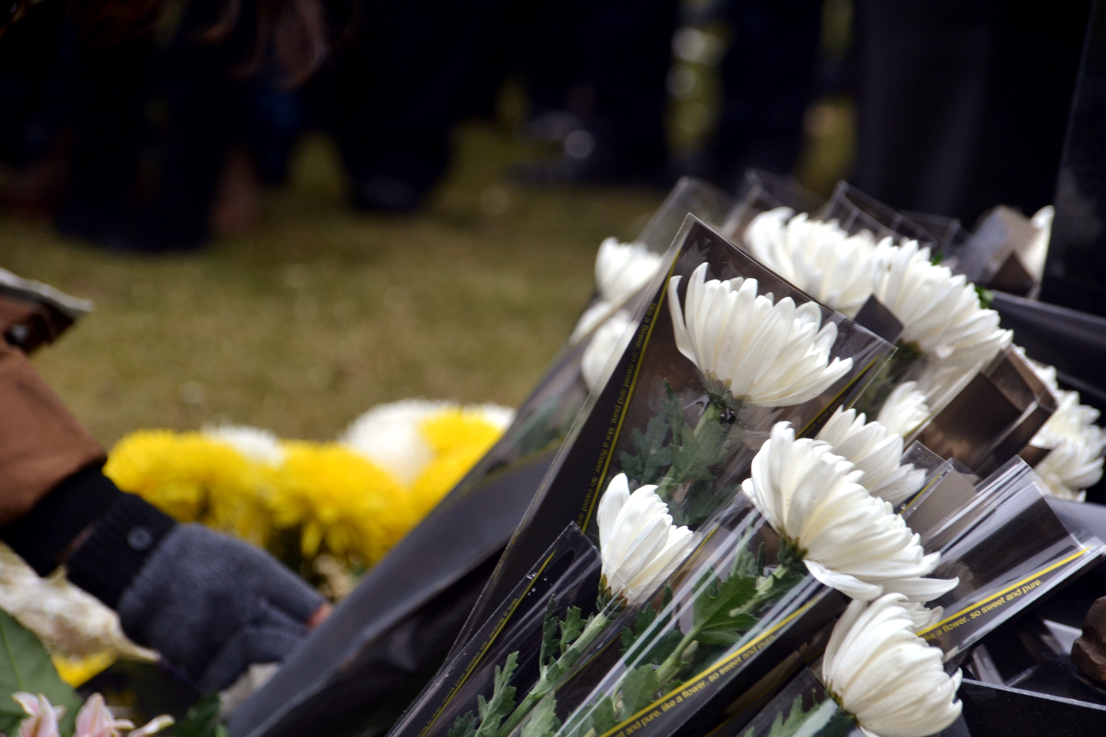 DSC_0728_副本.jpg DSC_0728_副本.jpg